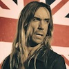 Avatar de Usuario